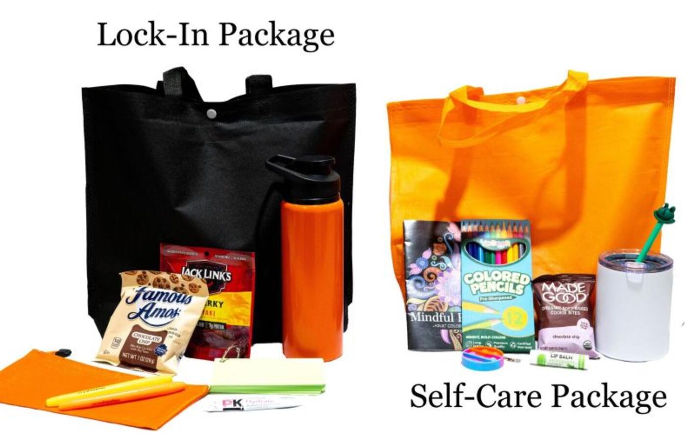 The two Midterm Care bags being sold by members of the HCSA shown side-by-side.