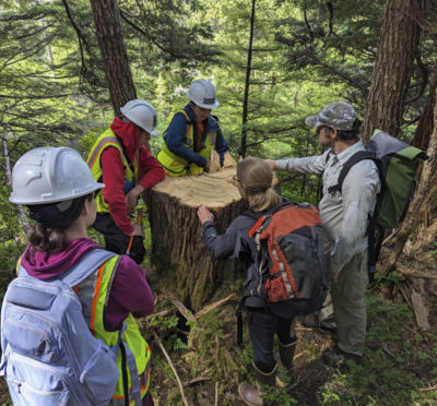 Group out in the trees