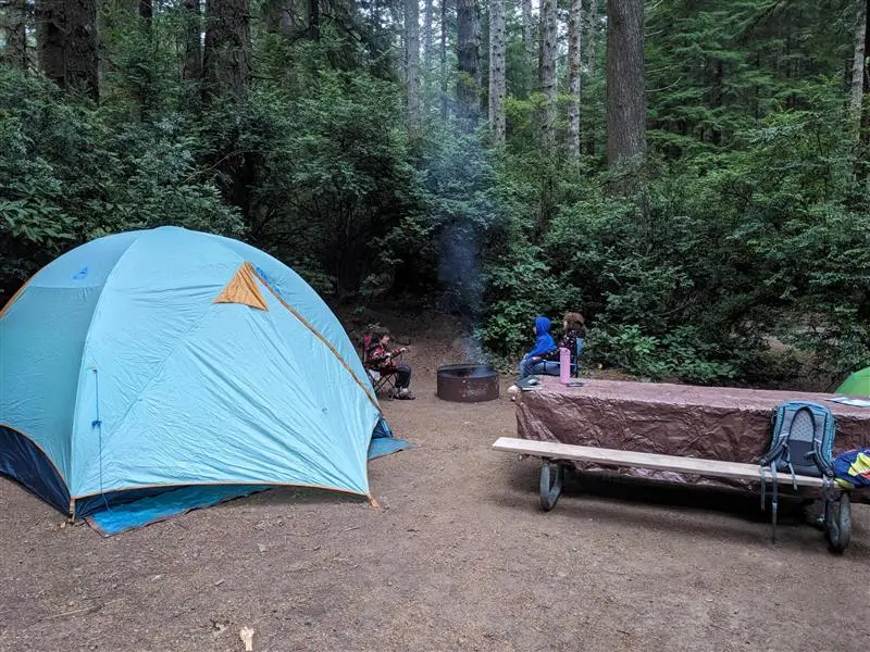 Camping tent and fire in the woods.