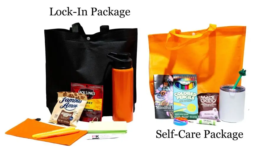 The two Midterm Care bags being sold by members of the HCSA shown side-by-side.