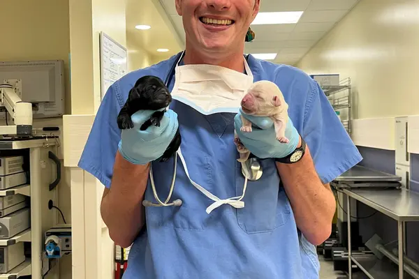 Patrick Callagy holding two newborn puppies.
